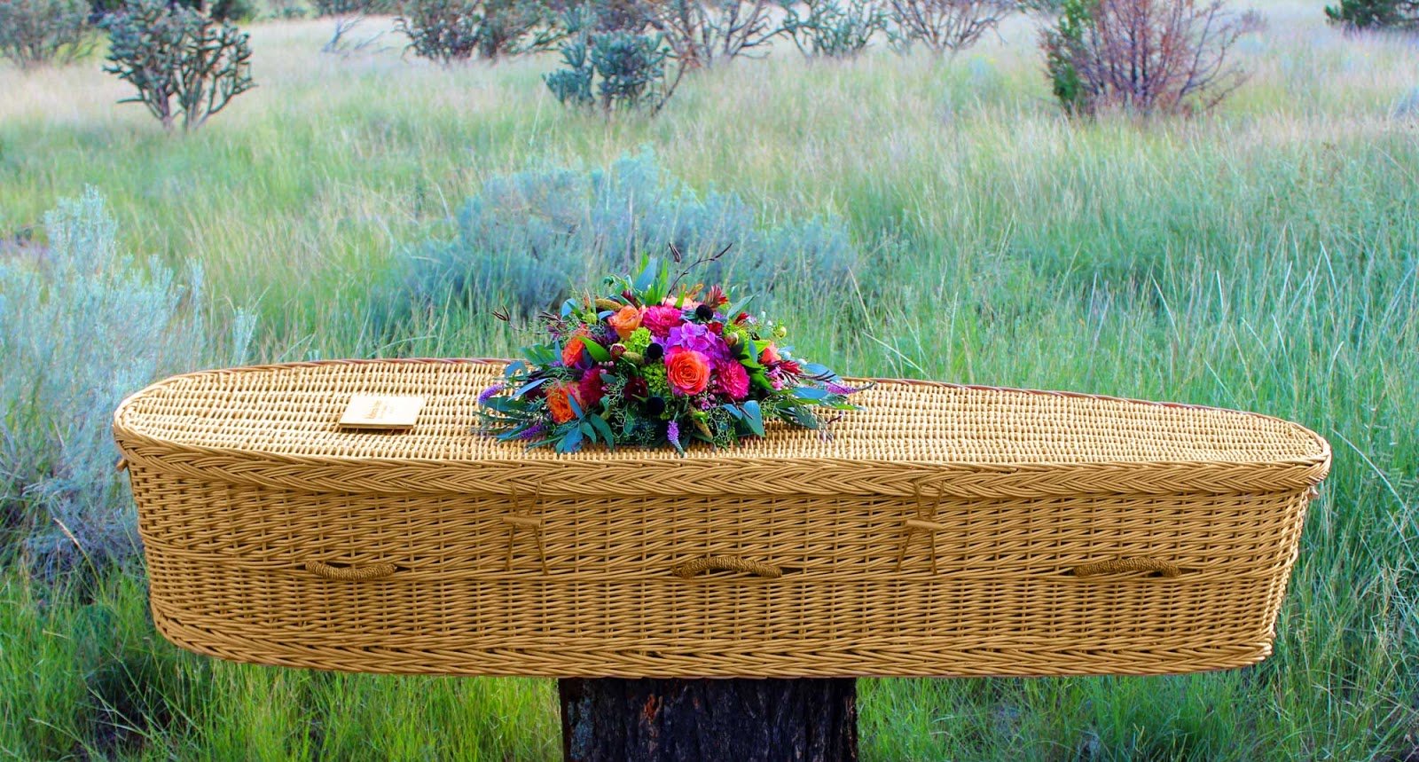 The Benefits of Green Burial Services