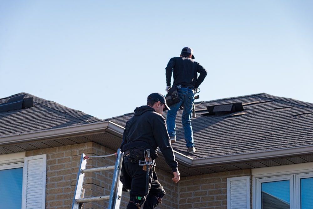 Roof leaks can cause mold problems that cost a lot of money to fix